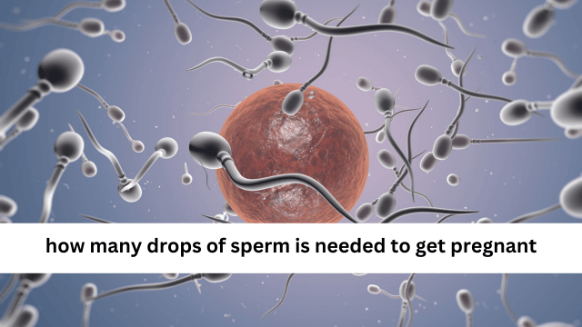 How Many Drops Of Sperm Is Needed To Get Pregnant: A Comprehensive Guide