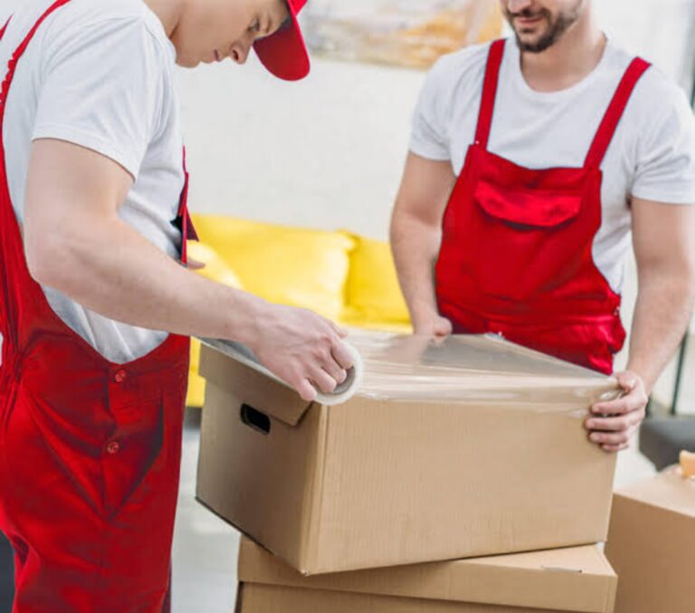 Removalist in Adelaide: The Benefits of Hiring Professional Furniture Removalists