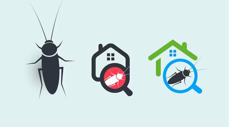 The Homeowner’s Guide to Effective Termite Control