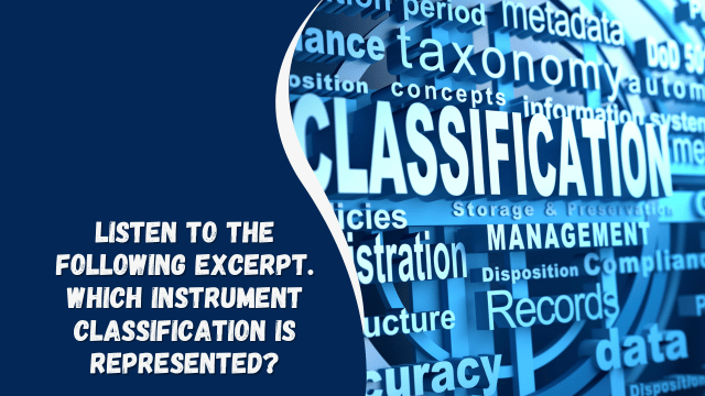 listen to the following excerpt. which instrument classification is represented?