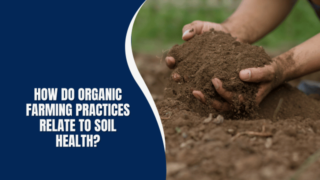 How Do Organic Farming Practices Relate to Soil Health?