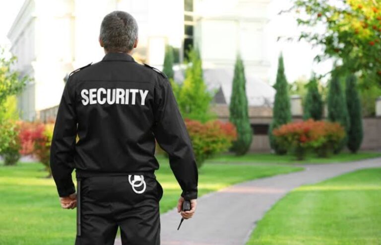 Theme Park and Amusement Park Security: Ensuring Visitor Safety and Experience