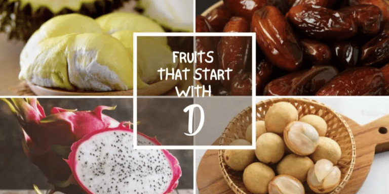 30+ Fruits that Start with D in English with Pictures