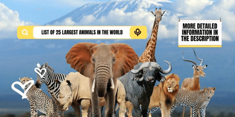 List of 25 Largest Animals in the World