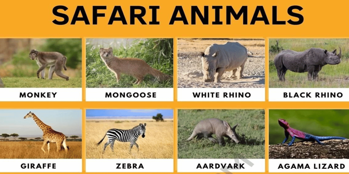 Safari Animals: List of Awesome Safari Animals with Facts