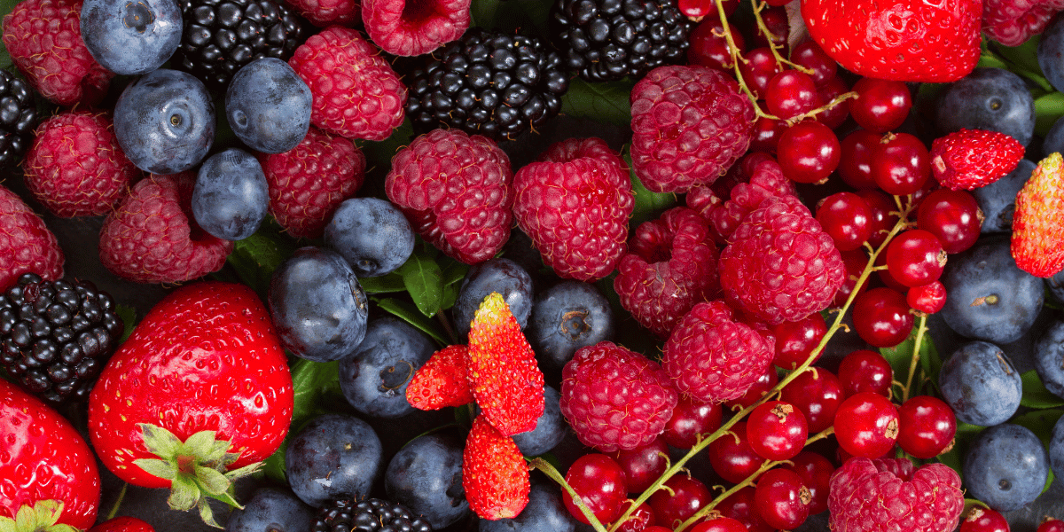 Types Of Berries List Of 49 Berries With Yummy Pictures English Saga Types Of Berries List Of 49 Berries With Yummy Pictures English Saga