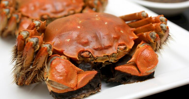 Crab Cuisine Around the World: Regional Delights and Recipes