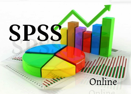 Get the Most Accurate Results with Our SPSS Data Analysis Services