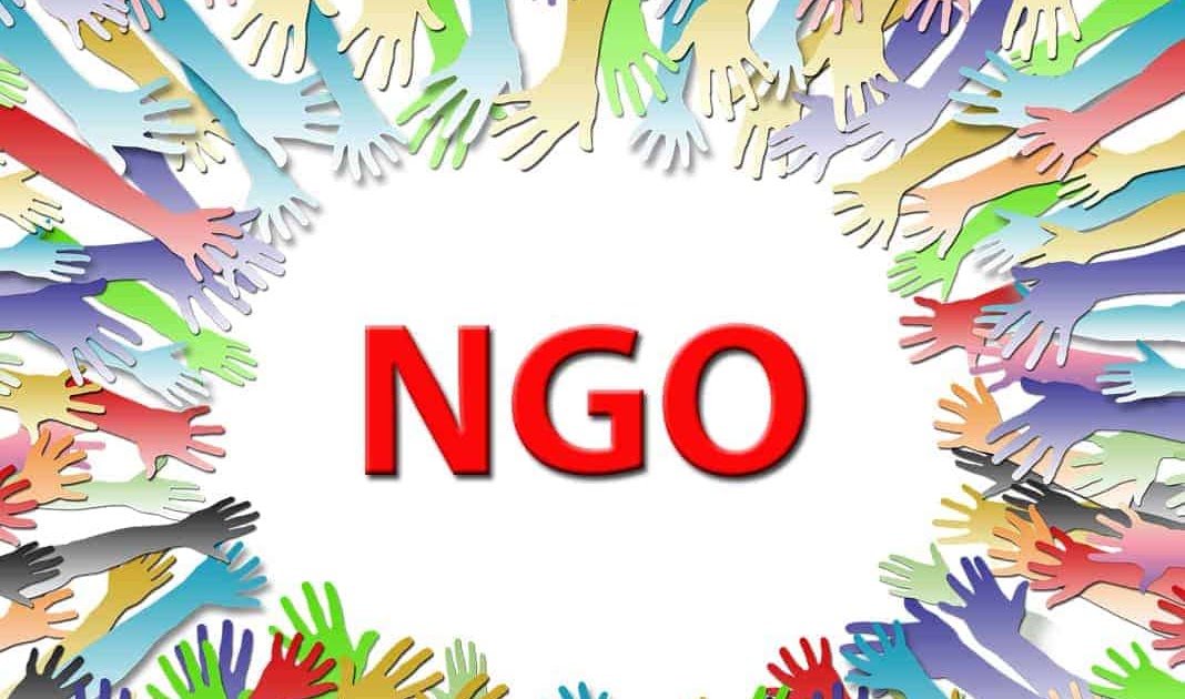Role of NGOs in Supporting [Disease] Patients and Communities