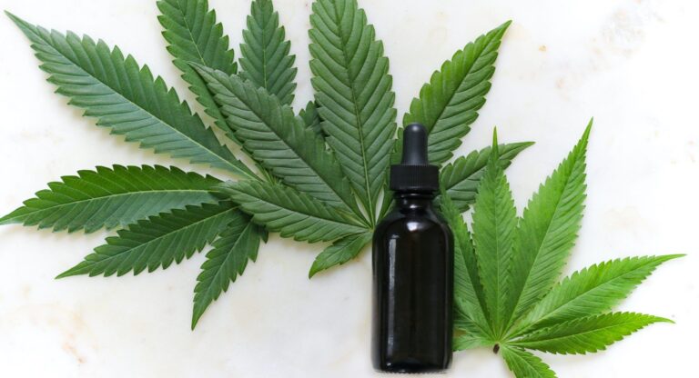 Blossoming Wellness: Exploring the Best CBD Flower Online in Canada