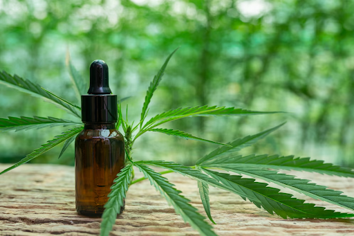 Why is CBD so Popular Some Amazing Facts