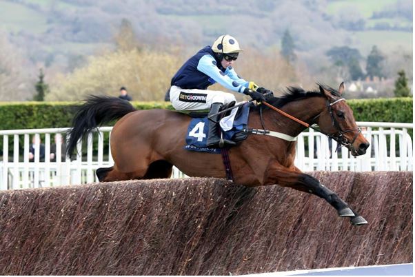 The favourites for the 2024 National Hunt Chase