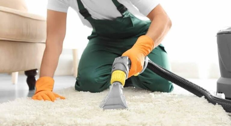 Seasonal Carpet Care Tips for Chicago Homes