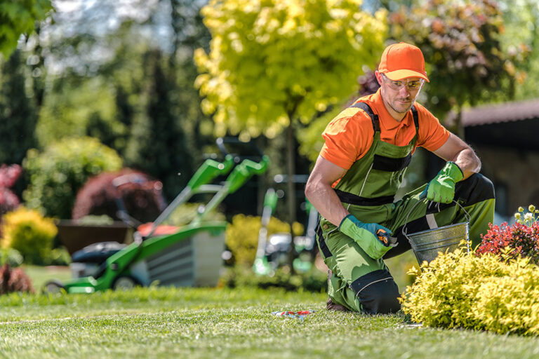 Benefits of Hiring a Professional Gardener