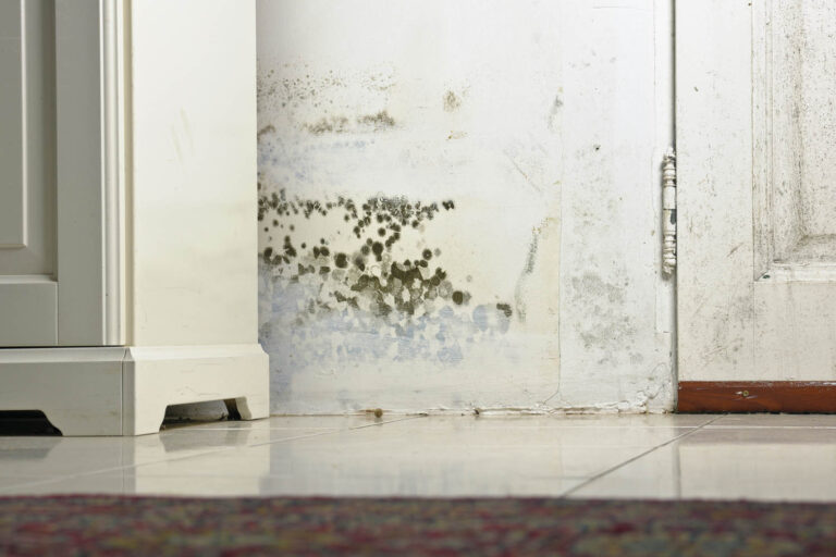 How to Prevent Mold After Flooding
